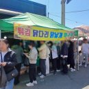 일로-3 | 전남 무안군 "일로5일장" 후기
