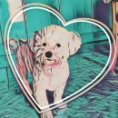 부개동우체국 | 한 달 순삭 된 2월 일상 그리고 보너스 3월 초 일상까지