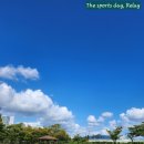 명호초등학교 이미지