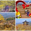 구례산수유