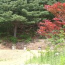 아리솔펜션 이미지