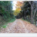 군위장곡자연휴양림 이미지