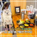 국제애견 | 다낭 국제공항 애견동반 식당 신라 국수 위치 메뉴 후기