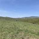산대목장 네이버블로그