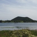 하도 조은 이미지