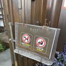 양평 초대형 정원식 카페 “칸트의 마을” 방문 후기! (아기의자, 주차 팁, 산책로)