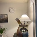 아영목장 | Jeju.zip