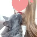 쿤모바일 이미지