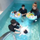 파인트리키즈풀빌라 이미지