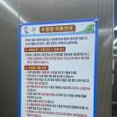 삼학 1947 | 여수 펜션 추천 루프탑 수영장 있고 낭만포차와 가까운 펜션 501호 후기 삼학1947