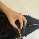 덴탈더드림 | 페스룸 덴탈 클린 칫솔 구매 후기