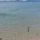 하얀집민박 이미지