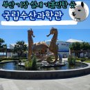 가나팜 | 부산 기장 실내 가볼만한 곳 국립수산과학관(feat 아쿠아리움)