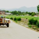 스테이단감 이미지