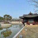 제일사슴농장 | 인천 월미공원 전통공원 후기 | 부용지·한복체험·사슴까지 산책코스 추천