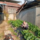 금빛초등길 이미지