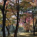 자산공원 Daum카페