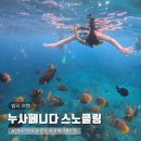 엔젤클럽 | 발리여행 누사페니다 스노클링 만타가오리 거북이 포인트 비치클럽 점심 후기