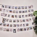 701아를고양이카페(cat in the art) | 하남 미사고양이카페 I 701아를고양이카페