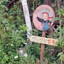 다이아나펜션 | 경북 성주 여행 펜션 추천 앤의 정원 후기