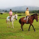 어승생승마장 이미지