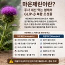 마운제린 내돈내산 후기 먹는법 효과 부작용 구매방법