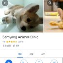 삼양 동물병원 티스토리