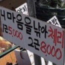 플러팅바(BAR)
