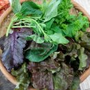 매화민박 이미지