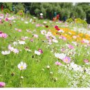 신흥근린공원 이미지