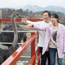 안인농장 이미지