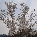 동촌유원지 이미지