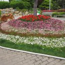 한마음광장 이미지