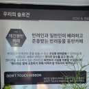 독앤트리 이미지