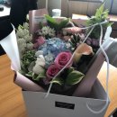 연세든든치과 이미지