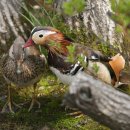 (주)성지 이미지