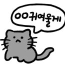동촌랜드 이미지