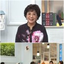 사미자 카카오 검색결과