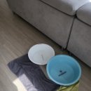 풍문공조 이미지