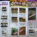 성냥골농장 이미지
