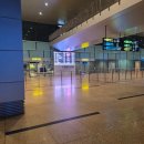 스피드 카써비스 | 나트랑 공항 픽업 비용 빈펄리조트 가는법 아이 동반 새벽 도착도 걱정 NO