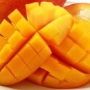 애플망고 이미지