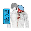 딋골이 땡기는이유 주요질환3가지 이미지