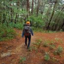 _나루터로2-9_ 이미지