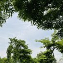 인더라인25망원 - 마포구 마포나루길 467 | 인더라인25망원