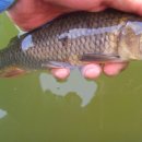 샘골 낚시터 이미지