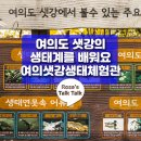여의도 샛강에서 볼 수 있는 주요 동식물을 배워요, 여의샛강생태체험관