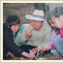 최가축병원
