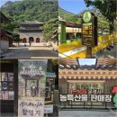 문경새재 도립공원 | 문경새재 도립공원 오픈세트장, 새재전동차, 특산물 판매장 후기