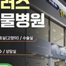삼정동물병원 이미지
